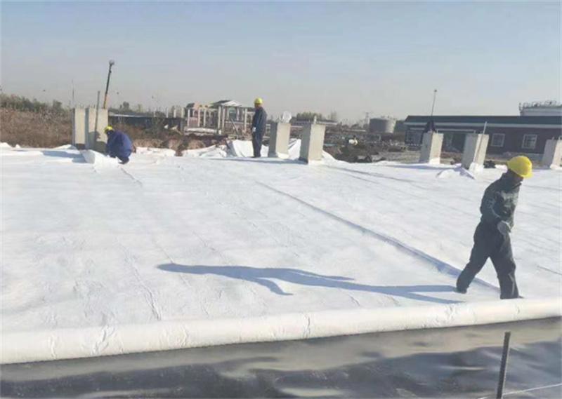 Geotextile waterproofing construction