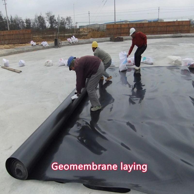 Geomembrane laying