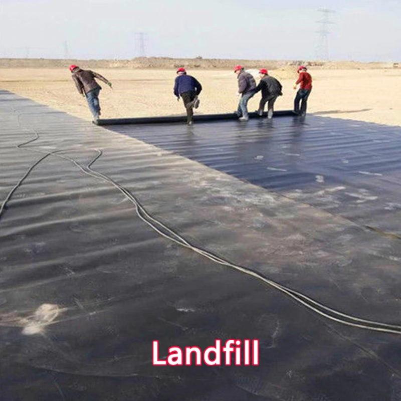 Geomembrane landfill