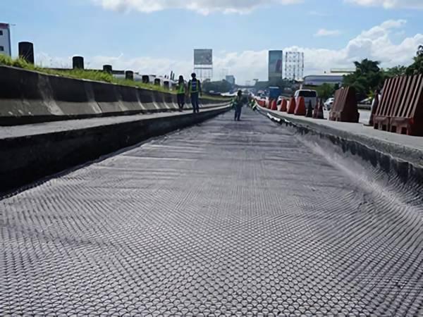 Geogrid for roadway