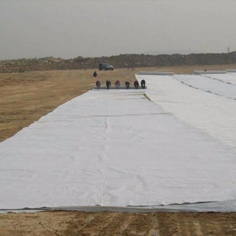 Polyester filament geotextile